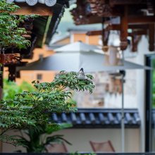 隐山梵野·‌Serenity‌设计师美宿(沙溪古镇店)