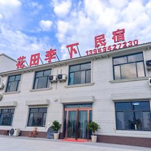 开封花田李下民宿