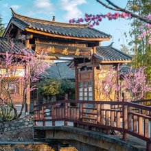 大理桃花岛生态庄园