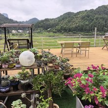 崀山八角寨稻田民宿