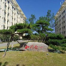 阳光学苑酒店