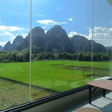 大新常青树屋民宿