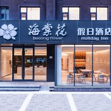 洛阳海棠花假日酒店(龙门高铁站店)