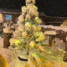 雪谷阳阳客栈