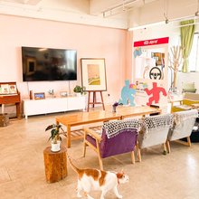 凤凰蛋国际青年旅舍(海滨公园店)