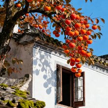 花蹊·见山｜隐奢民宿(篁岭景区店)