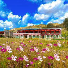 卓梅藏餐民宿