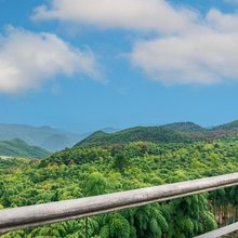 安吉觅月高山森氧度假休闲民宿(江南天池店)