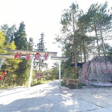 鲸鲨户外露营基地民宿