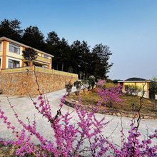 息烽楠山·松间民宿