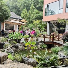 黄山寨欧庭悠居民宿