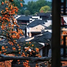 凡季·villa野奢观景休闲度假美宿(篁岭风景区店)