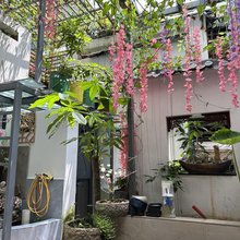 露天花园电竞投影民宿(农业大学德润朗悦湾店)
