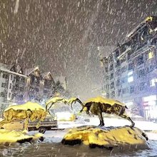 吉林亚美滑雪度假公寓(万科松花湖店)