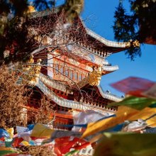 香格里拉.Shangri.La.天降林卡.旅行疗愈民宿(独克宗东门店)