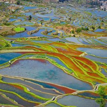 元阳田园慕歌·sightsee·日出观景精品民宿
