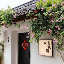 开封|双喜·轻奢·Heartwarm·庭院精品影音民宿(万岁山武侠城店)