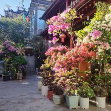大理腾川民宿(洱海才村码头店)