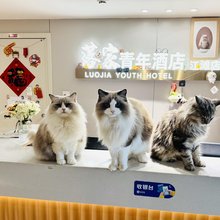 落家青年旅社(汉口江滩江汉路店)