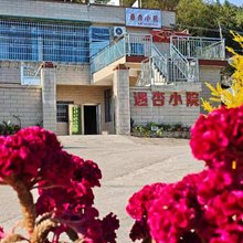 南雄帽子峰遇杏小院