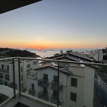 外伶仃岛三只猫公寓