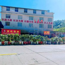东燕民宿