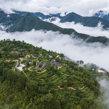 山顶一号咖啡庄园
