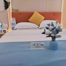 铂雅之公寓(深汕比亚迪汽车工业园店)