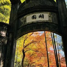 莫干山颐园·易经学大师的百年别墅
