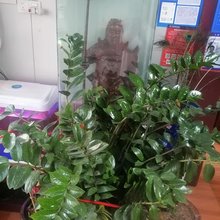 大同天智宾馆