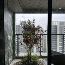 西江月民宿(湖北大学知行学院店)