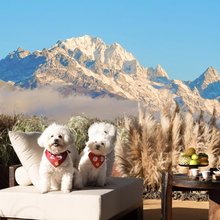 Date One|一生一遇雪山观景度假别墅日照金山观景店