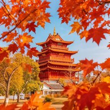 衢州·欣颐MYSTICWOLD·MOMWMYPOP·古城墙畔酒店(水亭门国金中心店)