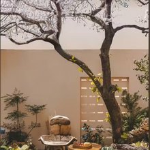 厦门·海竹苑｜Restful Sleep·Sweet Dreams民宿(侨英街道店)