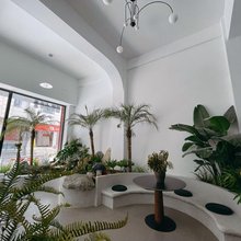 大理市蘑菇民宿