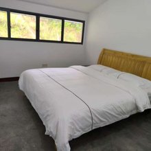 龙胜绿泰民宿