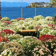 理昂·落云花园海景民宿(大理双廊洱海店)