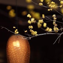 临潮公寓(海宁盐官观潮景区店)