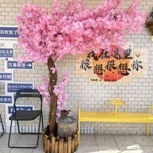 深圳山海居民宿(杨梅坑桔钓沙店)