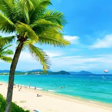 椰林海边酒店(三亚湾椰梦长廊店)