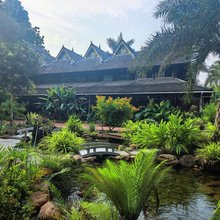 青曼小院(傣族园景区店)
