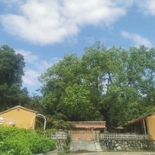 玉康谷小院
