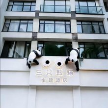 雅安三只熊猫主题酒店