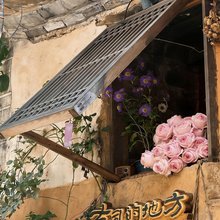 Succulent House Inn·有风的地方·多肉屋客栈(大理古城店)