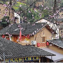 阳产土楼暙风民宿