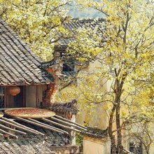 婺源乐野山舍(篁岭风景区梯田花海店)