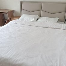 春天旅社(开封老河大店)