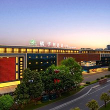 橘子树酒店(眉山音乐喷泉盖丽店)