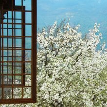 瑞竹·栖林畔|BAMBOOINK·COURTYARD·山野秘境别院(篁岭景区店)