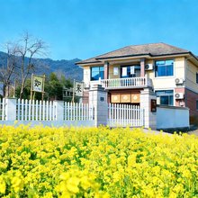 桐庐观木民宿(OMG心跳乐园店)